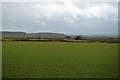 Flat farmland near Rhyl in LL19 7BH