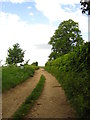 Bridleway near Barham Church in IP6 0AS