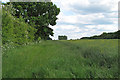 Footpath on arable field margin, near Newhouse Road, Earls Colne in CO6 2NJ