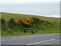 Bench, Gorse and the Sea in SA62 6AR