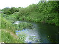 The River Roding alongside the Three Forests Way in IG10 3FT