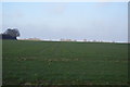 Farmland by Youngmans Rd in NR18 0SB