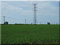 Crop field and power lines in PE19 0BB