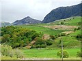 Sheep pasture above woodland, Cwm Pennant in LL51 9AX