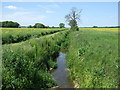 Abbotsley Brook in PE19 6UB