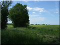 Crop field and mature hedgerow near Croxton in PE19 6SX