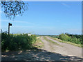 Farm track and public footpath in Chislet