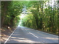 The A260 cuts across Denton Wood in CT15 7HJ