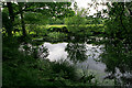 Pond on Barn Farm, Curbridge in SO30 2HB