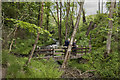 Footbridge over Dean Brook in Aighton, Bailey and Chaigley