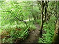 Public footpath descending to Penamser Road in Porthmadog Community