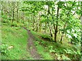 Public footpath on the east side of Moel y Gest in Porthmadog Community