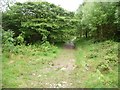 Public footpath following a farm track in Porthmadog Community