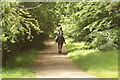 View of a horserider coming up the path by Chingford Golf Course in E4 7PG