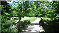 Bridge over the leat, Parke Estate, Bovey Traey in TQ13 9NB