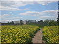 Footbridge over the railway at Church Field, Rossington in DN11 0FQ