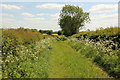 Track to Grassthorpe Holme in Normanton on Trent