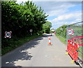 Four 30mph speed limit signs, Brister End, Yetminster in DT9 6NH
