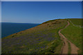 Pembrokeshire coast path on the west side of Dinas Island in SA42 0SE