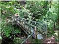 Pontdroed ger Cwmgiedd / Footbridge near Cwmgiedd in SA9 2QH