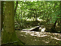 Footbridge, Stanmore Common in HA7 3GE