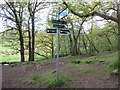 The West Highland Way at Mugdock in G62 8EP
