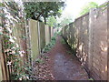Footpath between fences in RH20 4HH