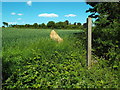 Public footpath at Fryerning, Essex in Ingatestone, Fryerning & Mountnessing Ward
