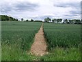 Footpath across a field in DE74 2BB