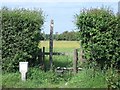 Stile in a hedge on the footpath to Thulston in DE72 3FG