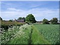 Footpath into Thulston in DE72 3FG