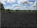 Pachesham Equestrian Centre: Berta Arena in KT22 0AD