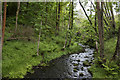Dean Brook upstream from the footbridge in Aighton, Bailey and Chaigley