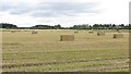 Square bales, Inchture in PH14 9YD