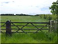 Field of grass for silage beside the A1068 in NE61 5EL