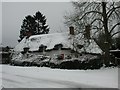 Snow in Bury Green, Little Hadham in Bury Green