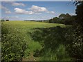 Field near Woodhayes Farm in EX6 7SB
