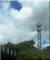 Telecoms Mast by the M25 in WD3 4AZ