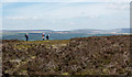 Walking party near Sheep Stones Edge in HX7 8TG