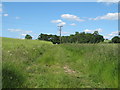 Footpath through field near Little Lodge Farm, Castle Hedingham in CO9 3NG