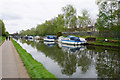 Moorings on the Bridgewater Canal in M33 6RZ