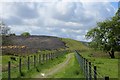 Mineral line trackbed, Muirkirk in KA18 3RT