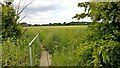 Footbridge near Heron Hall in CM13 3PR
