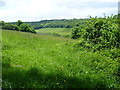 View across the valley from Cudham in TN16 3AG