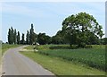 The southern approach to Park Farm in CB10 1RP