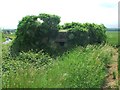 Well hidden pillbox by Staple Road, near Wingham in CT3 1AT