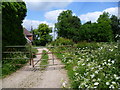 Path through Gray's Farm in TN16 2HX