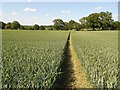 Bobbingworth: Footpath from Penson's Lane to Bilsdens in CM5 9GW