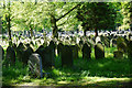 Sunlight on gravestones in Southern Cemetery in M21 7GL
