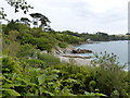 View overlooking the private beach at Trebah Gardens in TR12 6JL